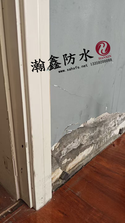 卫生间门口反碱、墙根发霉？(图1)