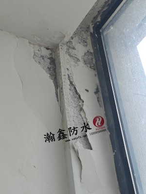 外墙渗水、室内返碱，光刷背水涂没用——要从源头找(图3)