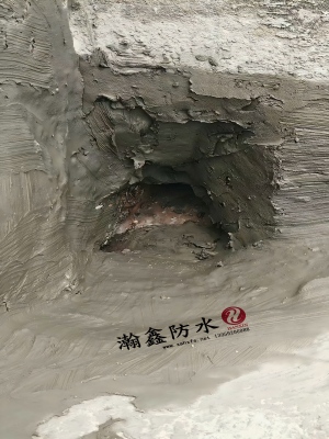 沣东办公楼女儿墙漏水，卷材缝里长满芦根草，根把防水扎穿了(图1)