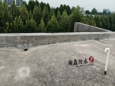 沣东办公楼女儿墙漏水,卷材缝里长满芦根草,根把防水扎穿了(图7) 沣东办公楼女儿墙漏水,卷材缝里长满芦根草,根把防水扎穿了(图7)